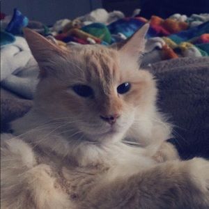 Meet your Posher, Laura